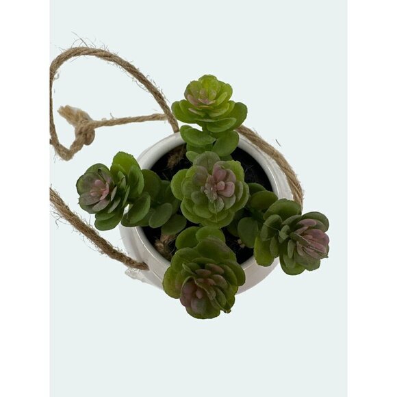 Plant Artificial Hanging Miniature Succulent Plant Faux Fake Ceramic Green White - Picture 6 of 6
